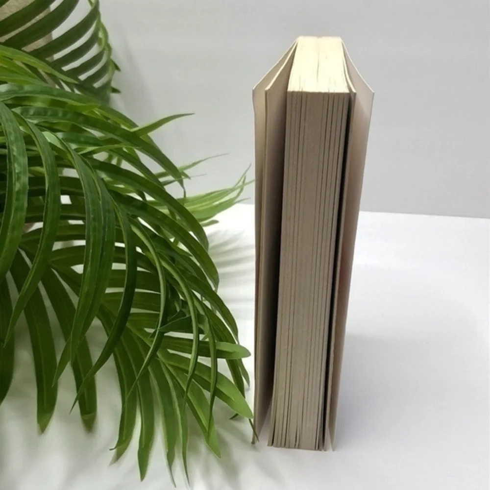 Curtis Sittenfeld Prep Novel